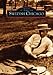 Swedish Chicago (IL) (Images of America) by 