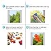 FRIDAY NIGHT Thanksgiving Fall Leaves Acorns Window Clings Sticker Reusable Autumn Party Decorations Supplies Double Side Printing (58 Pcs)