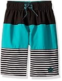 Speedo Boy's Swim Trunk Knee Length Blocked Volley