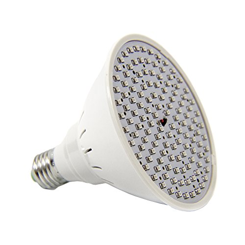 Grow light bulbs Abu Dhabi