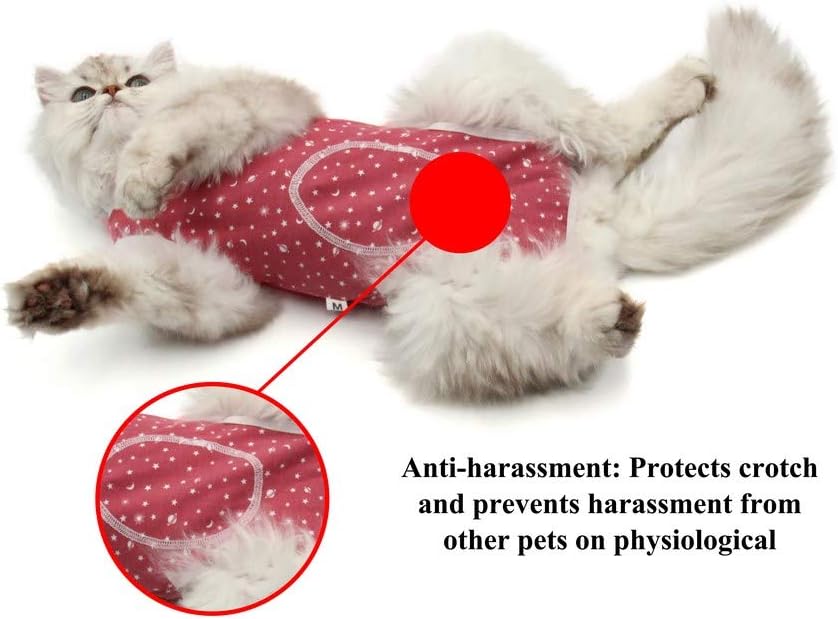 After Surgery Wear Due Felice Cat Professional Surgical Recovery Suit