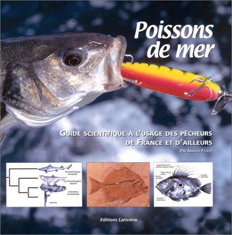 Poissons de mer by Arnaud Filleul