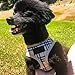 Ringloose No Pull Dog Vest Harness - Soft Mesh for Small Medium Dog Puppy Pets Easy Control Handle for Walking Training
