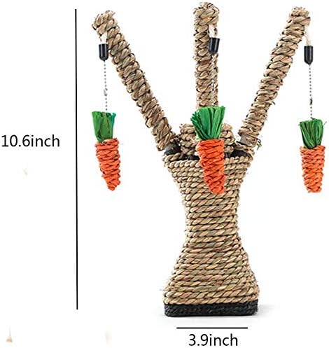 Small Animal Activity Toy - Image 5