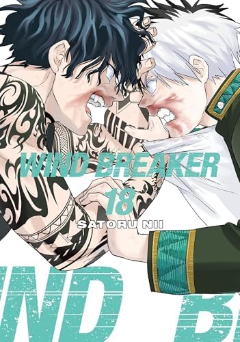 Amazon.com: WIND BREAKER Vol. 14 eBook : Nii, Satoru, Nii, Satoru