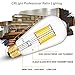 CRLight LED Edison Bulb 10W Dimmable 3000K Soft White 1000LM, 100W Equivalent E26 Medium Base, ST21(ST64) Vintage LED Filament Bulbs, 360 Degrees Beam Angle, Pack of 2