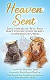 Heaven Sent: True Stories of Pets That Have Touched Our Hearts in Miraculous Ways by Shanda Trofe, Pam Baren Kaplan
