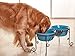 BestVida Pet Stand,Elevated Dog Bowls,Raised Dog Bowl Stand, Large Ceramic Dog Bowls, Pet Feeding Station, Dog Feeder for Large Medium Dogs （Large, Scuba Blue