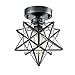 AXILAND Industrial Moravian Star Ceiling Light with 8-inch Glass Shade, 1 Light