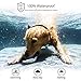 PATPET Dog Shock Collar with Remote – 1000ft Range Shock Collar for Dogs IPX7 Waterproof No Harm Dog Training Collar Fast Training Effect for Small Medium Large Dogsthumb 4