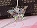 Alilang Silver Tone Abalone Colored Stone Butterfly Insect Wings Pendant Necklace