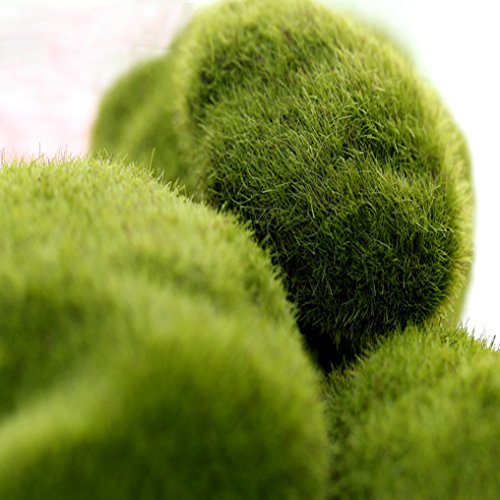 Khannika Fake Moss Decor, Green Moss Balls, Moss Aquarium Decorations