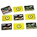 Stages Learning Materials Picture Memory Insects and Bugs Card Game Real Photo Concentration Game for Home, Family, Preschool & Kindergarten Education, multicolor, size 5 x 3 in (SLM223)
