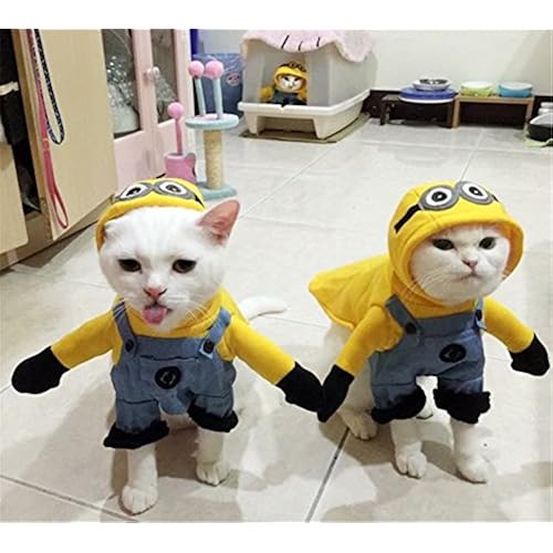 Pet Supplies, Dogs, Apparel & Accessories, Costumes