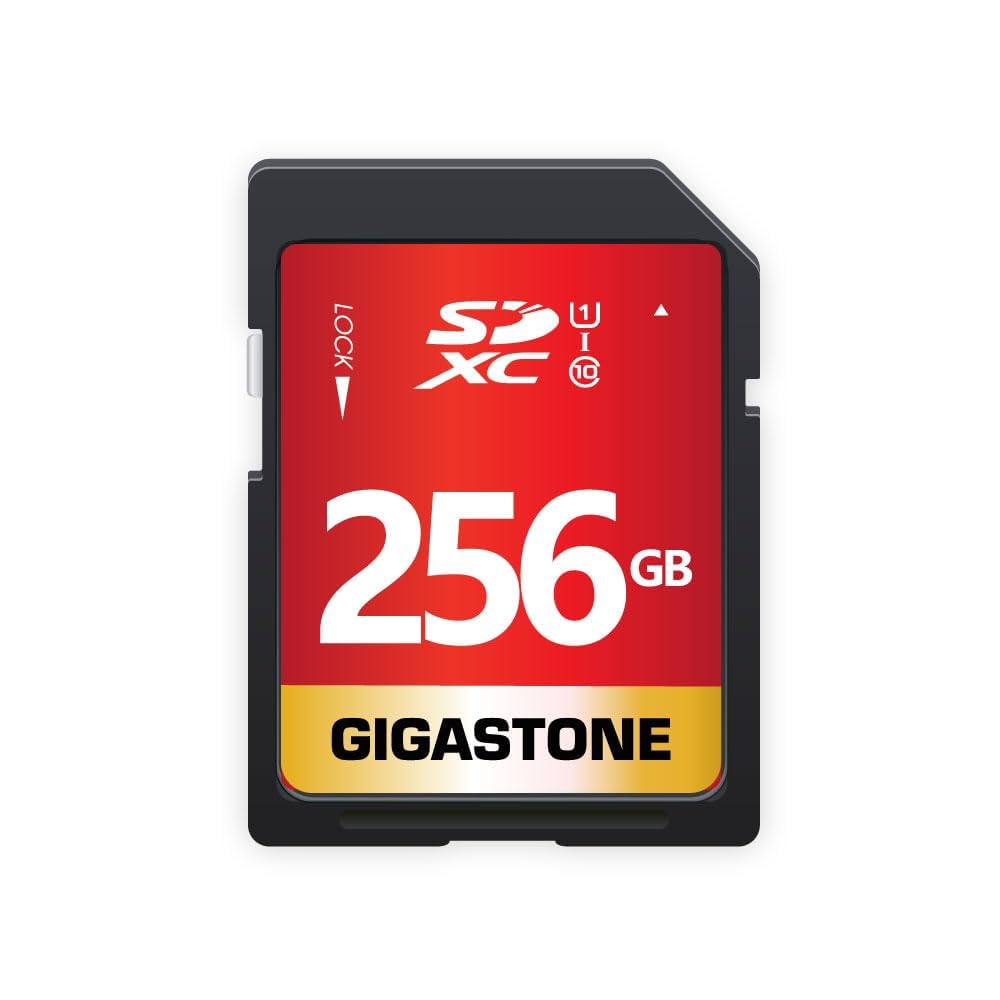 Gigastone 256GB SD Card UHS-I U1 Class 10 SDXC Memory Card for Full HD Video Canon Nikon Sony Panasonic Digital Camera, with 1 Mini case