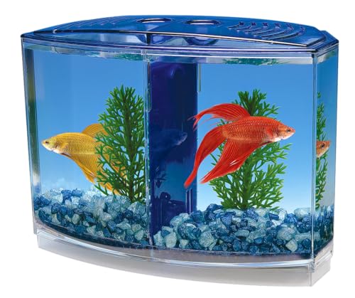 Penn-Plax Aquarium Doppel Betta für Aquarien 20 cm