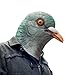 Accoutrements Pigeon Mask
