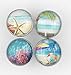 Tropical, Ocean, Fish, Nautical Glass Knobs, Drawer Pulls - 12 Pack