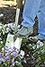 Joseph Bentley Traditional Garden Tools Stainless Steel Digging Spade