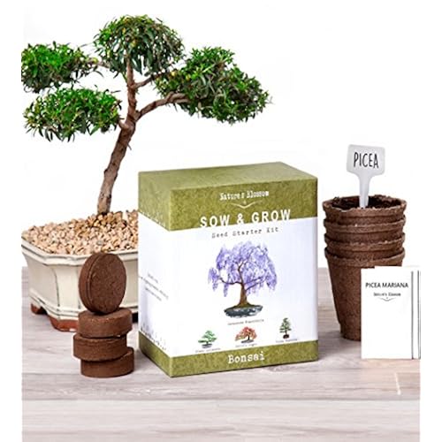 low price useful gift items on amazon related to Patio, Lawn & Garden market your products that are Shrubs, under $25