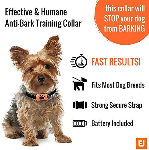 citronella collar petbarn