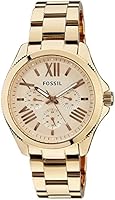 Fossil AM4511 Womens Cecile Wrist Watches