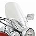 Kawasaki K46001-087 Touring Windshield