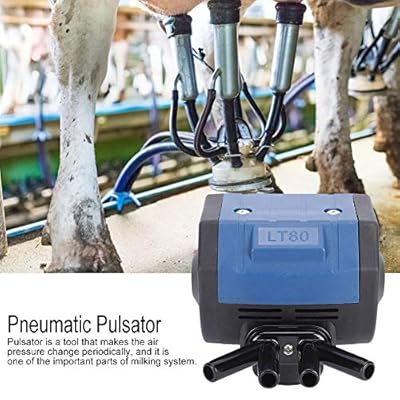 Pulsatore Pneumatico Regolabile UEB 50-180 RPM - Per Mungitrici, Mucche, Mungitura Professionale - Foto 6