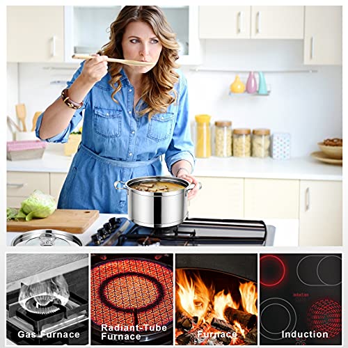 COSTWAY 3Tier Stainless Steel Steamer, 11'' Boiler Pot with Handles on