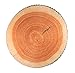 We pay your sales tax 3D Tree Wood Slice Memory Foam Cushion Throw Pillow Doll Seat Pad Home Decor Wood Log
