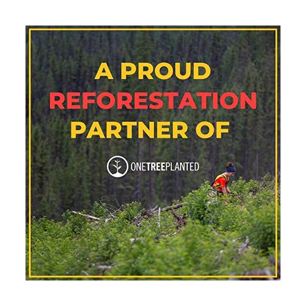 Seedzbox-Ultimate-Deluxe-Squirrel-Food-Seed-and-Nut-Feed-Mix--Natural-Treats-and-Snacks-for-Wild-Squirrels--Monkey-Nuts-Flaked-Peas-Whole-Maize-and-Wheat-Healthy-Fats-and-Vitamin-E--900g-Bag Squirrel Food Seed and Nut Feed Mix 900g - SeedzBox Deluxe Squirrel Food - Natural Treats and Snacks for Wild Squirrels…