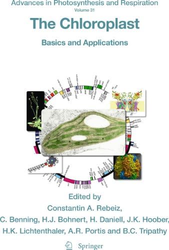 The Chloroplast Basics And Applications By Rebeiz Constantin A Benning Christoph Bohnert Hans J Daniell Ph D Henry Hoober J Kenneth Lichtenthaler Hartmut K Portis Archie R Tripathy Baishnab C Amazon Ae