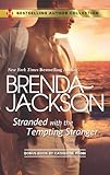Stranded with the Tempting Stranger: The Executive's Surprise Baby (The Garrisons Book 4)