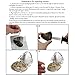 10 PC Freshwater Cultured Pearl Oyster Oval Pearls oysters with pearls inside Ten Colors