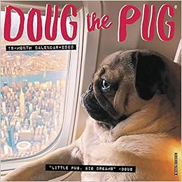 doug the pug amazon