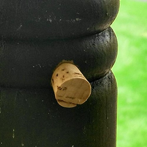 Premium USA Made Carpenter Bee Trap with Hole Plugs Buy Online in UAE