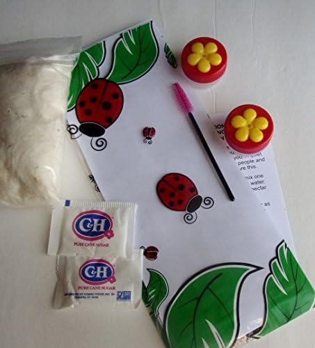 2 Hand Held Hummingbird Feeders Gift Set