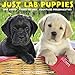 Just Lab Puppies 2020 Wall Calendar (Dog Breed Calendar) by
