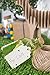 Juvale 100 Pack Unfinished Wooden Tags for Crafts with Holes and Twine, Wood Gift Tag (2.7 x 1.5 in)