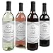 Big Dot of Happiness Family Pregnancy Announcement Gift for Women and Men - Wine Bottle Label Stickers Set 4