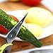 CoCo Island Kitchen Scissor, Shears Heavy Duty All-Purpose Poultry Herbs Meat Cutlery BBQ Scissors, Stainless Steel (Red )