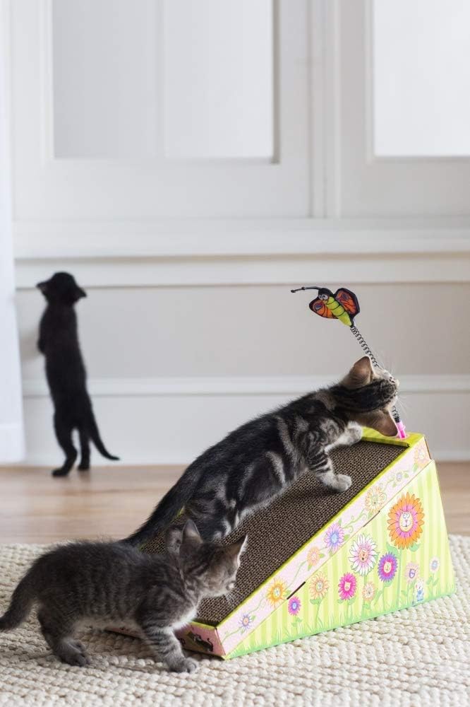 FATCAT Big Mama's Scratch 'n Play Ramp Reversible Cardboard Toy and Catnip Included : Scratching Pads : Pet Supplies