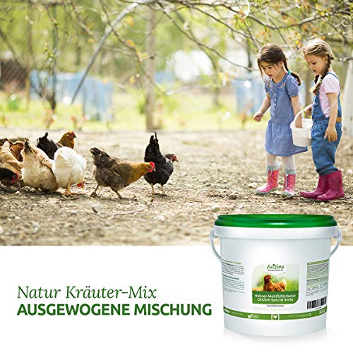AniForte Wohlfühlkräuter für Hühner 500 g - Natürliche Kräuter für Geflügel unterstützen Immunsystem & Verdauung, Leckerchen für Hühner jeden Alters, mehr Vitalität – Bild 4