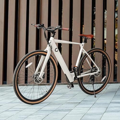 Bicicleta Eléctrica de Ciudad Sprint, 250W, Ruedas de 28", 70 Km de Autonomía, Batería 360 WH, Cambio de 8 Velocidades y Doble Disco de Freno Hidráulico