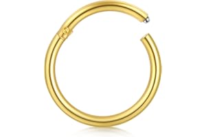 D.Bella Hinged Nose Rings Hoop 316L Surgical Steel Hypoallergenic Septum Ring Lip Ring Helix Cartilage Rook Earrings Body Pie
