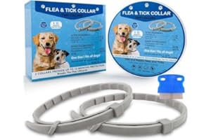 AEEPOTOL Dog Flea Collar,Flea and Tick Collar for Dogs,Flea Collaradjustable, Suitable for Small Dogs, Medium-Sized Dogs, Large Dogs, Swimming Or Outdoor Adventures Can Work to Flea Collar (All Dogs)