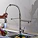 Rozin LED Light Spray Kitchen Sink Faucet Spring Mixing Tap Brushed Nickel