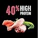 CRAVE Grain Free Indoor Adult High Protein Natural Dry Cat Food with Protein from Chicken & Salmon, 4 lb. Bag