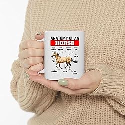 Lovesout Funny Buckskin Horse Anatomy Chart Coffee