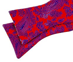 Alizeal Handmade Mens Paisley Self Tied Bow Tie and